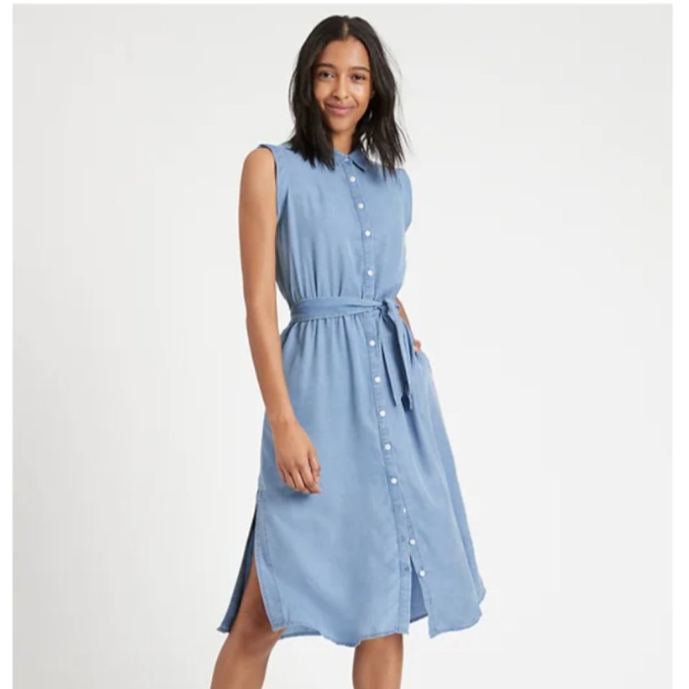 Banana Republic Tencel Shirtdress (Size 6)